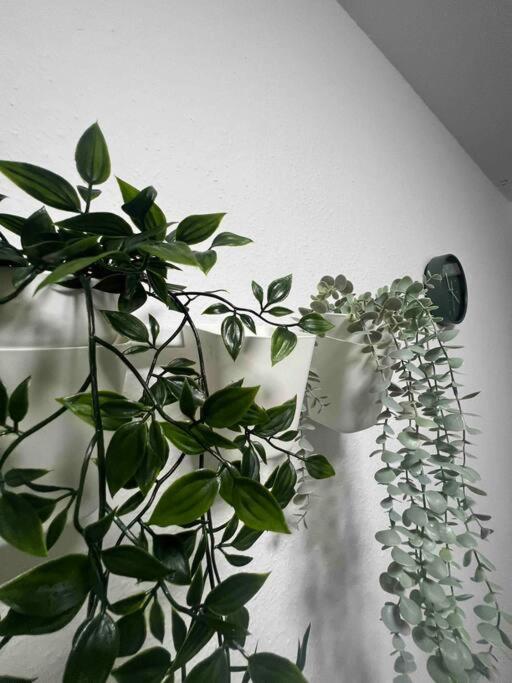 Modernes Apartment Mit 75Qm Mit Balkon & Aussicht 亚琛 外观 照片